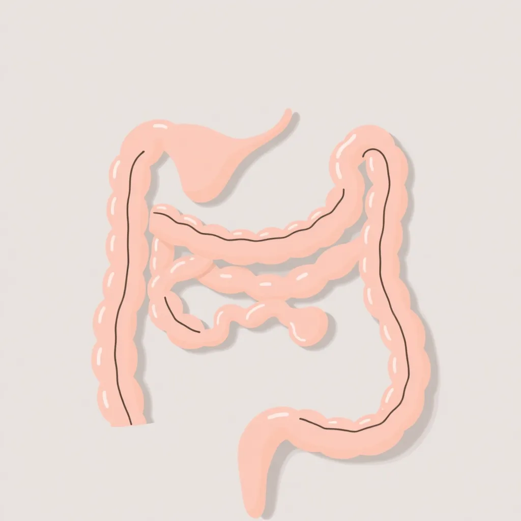 Clean gut health illustration