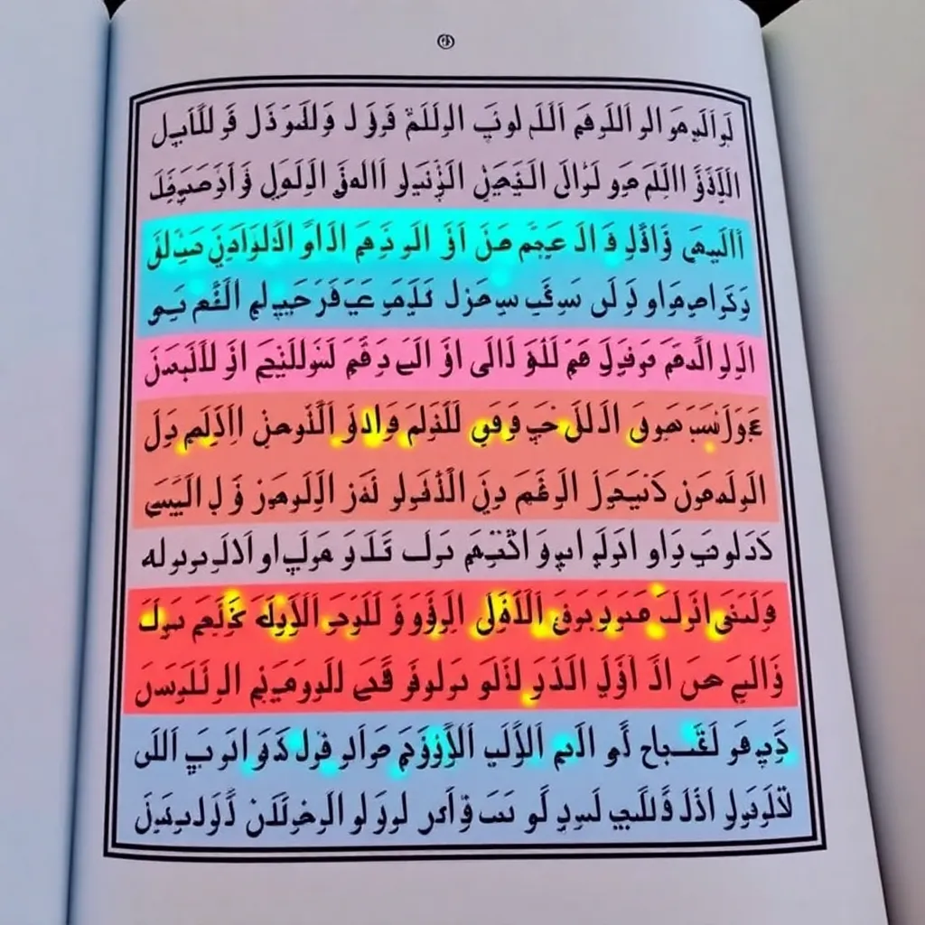 তাজবিদ শিক্ষা